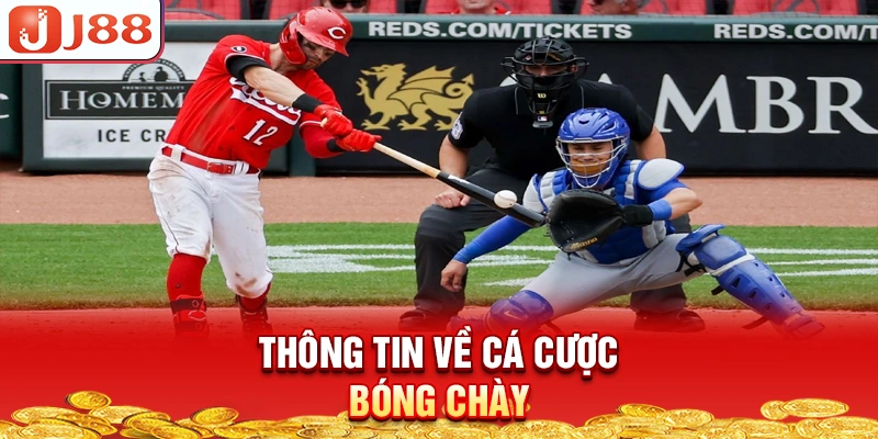 thong-tin-ve-ca-cuoc-bong-chay